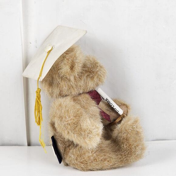 Vintage Boyd's Head Bean Collection Brown MISS GRADUATE Plush Stuffed Bear Toy - Picture 2 of 13